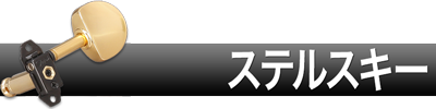 ステルスキー